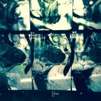 Medical Misadventures Pt. 2                    The saga continues…